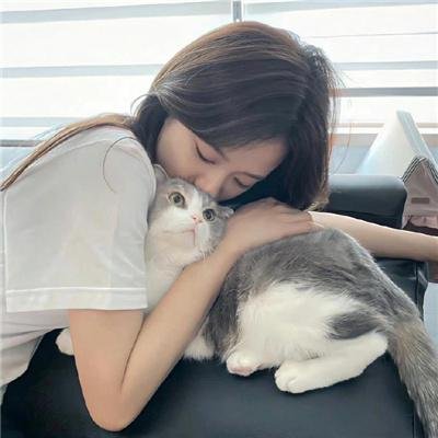 无头家族